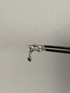 Puppy Star Helix Earrings