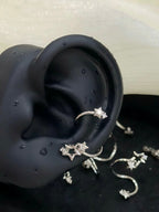 Celestia Glow Conch Earrings